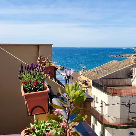 Hotel Medium Montecarlo パラフルジェイ エクステリア 写真
